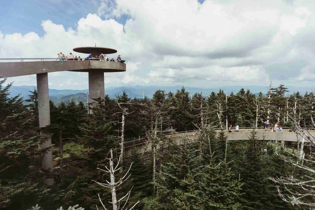 The Clingmans Dome observation tower and ramp above the evergreen forest