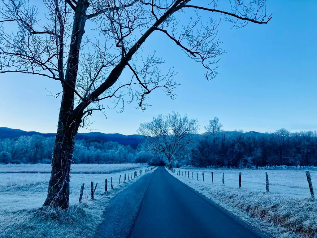 Frost on the fields along the Cades Cove Loop on a clear winter morning
