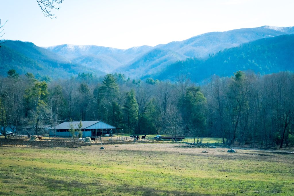 Cades Cove Loop