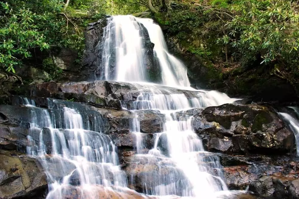 Laurel Falls hike